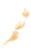 ±¼¶Ò¿¬±â