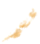 ±¼¶Ò¿¬±â